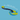 White background with a turquoise and yellow Coachi Tuggi Helix toy with a blue bungee handle, with measurements above.