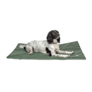 Springer Spaniel lying on a thin pillow-type green waterproof dog bed pictured. 