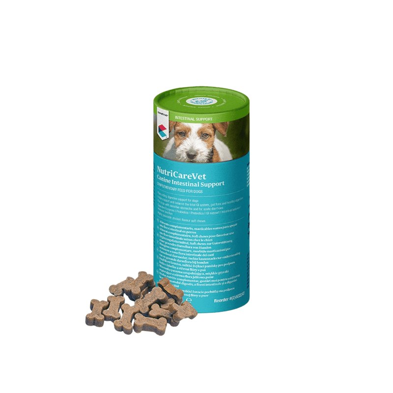 CVET NutriCareVet Canine Intestinal Support Soft Chew 60pk on white background