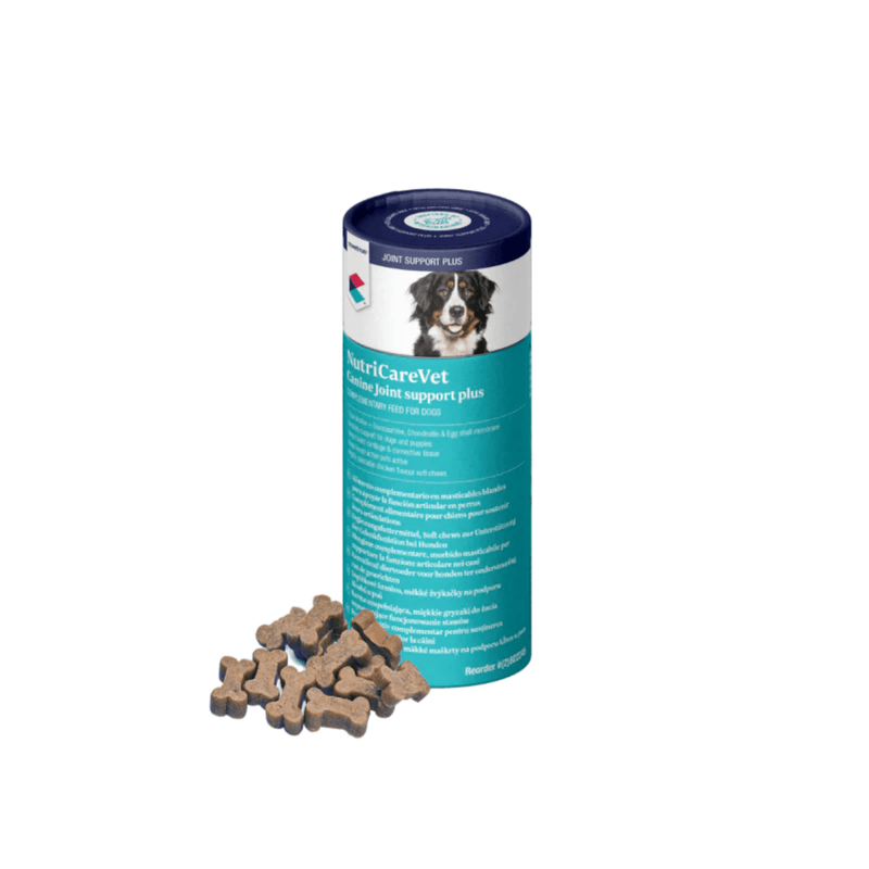 CVET NutriCareVet Canine Joint Support Soft Chew 60pk on white background