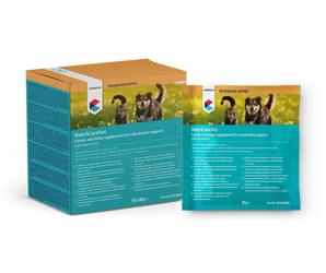 CVET Oral Rehydration Sachets (30g x 10) on white background
