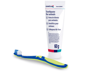 CVET Pet Dental Kit (60g Toothpaste + Toothbrush) on white background