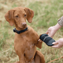 CVET Petcare Paw Protective Boots