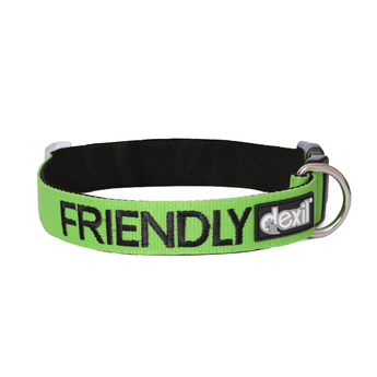 White background with a green Dexil collar with the word 'Friendly' stitched in black.