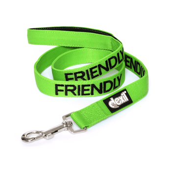 White background with a green Dexil lead with the word 'Friendly' stitched in black.