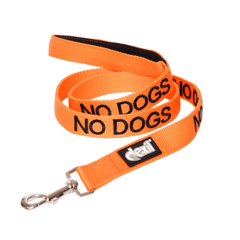 White background with an orange Dexil lead with the word 'No Dogs' stitched in black.