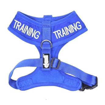 White background with a Dexil blue dog vest harness with 'Training' embroidered twice on the top part. 