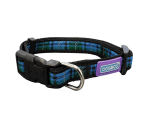 White background with a blue tartan dog collar with a black plastic clip with a purple tag with 'Dog & Co' on it. 