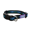 White background with a blue tartan dog collar with a black plastic clip with a purple tag with 'Dog & Co' on it. 