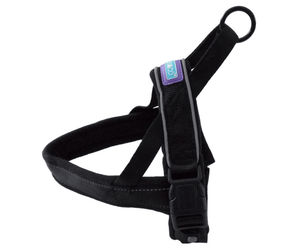 White background with a Dog and Co Padded Reflective Nylon Harness in  black with reflective edging and stitching. With a purple tab with 'Dog & Co.' written on it. 