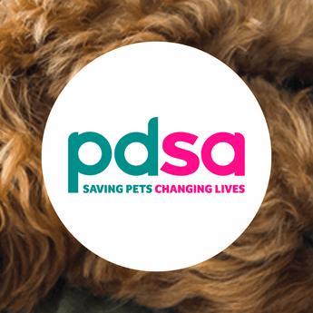 Image of dog against PDSA logo
