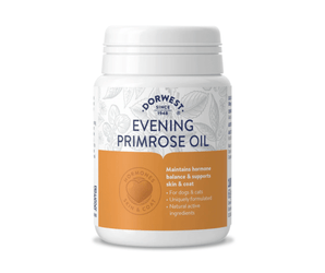 White background with a white and orange tub of Dorwest Evening Primrose Oil tablets. On the pack is a orange banner with white text 'Maintains hormone balance & supports skin & coat, for dogs & cats, uniquely formulated, Naturally active ingredients'.