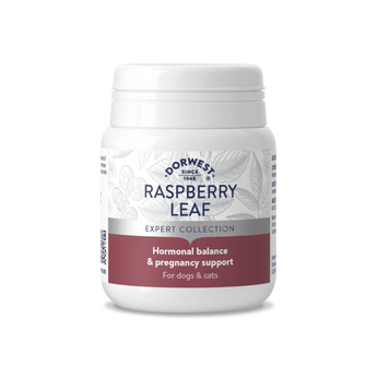 White background with a white and burgundy tub of Dorwest Green Releaf tablets. On the pack is a burgundy banner with white text 'Hormonal balance & pregnancy support, for dogs & cats'. 