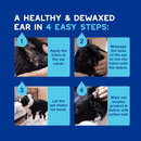 Blue background with text 'A healthy & Dewaxed ear in 4 easy steps:' with four pictures of a black and white collie having it's ears cleaned. Text on a aqua blue background says '1. Apply the lotion in the ear 2. Massage the base of the ear to mix the lotion with the debris, 3. Let the pet shake his head, 4. Wipe out surplus product & debris with cotton ball.' 