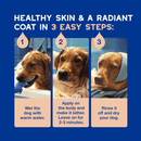 Blue background with text 'Healthy skin & a radiant coat in 3 easy steps:' with three pictures of a Labrador being washed. Text on a beige background says '1. Wet the dog with warm water, 2. Apply on the body and make it lather. Leave on for 2-3 minutes, 3. Rinse it off and dry your dog.' 