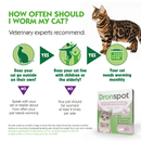 Cat worming advice chart with Dronspot product on a white background