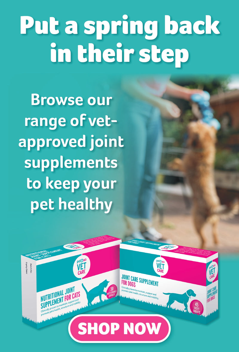 PDSA Joint Care_Cat&Dog Mobile Banner