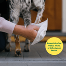 Close up of a dog's foot being cleaned with an Earth Rated grooming wipe with a yellow circle with green text stating 'Essential after walks, hikes, or in between baths'. 