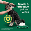 Green background with a black and tan cockerpoo type dog with it's ear being cleaned with a Earth Rated Ear wipe. To the right of the dog is text 'Gentle & effective pet ear wipes' and a yellow circle to the left with text inside 'Vet Developed'. A packet of Ear Wipes is in the foreground. 