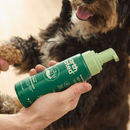 Hand holding a green pump bottle of Earth Rated No-Rinse Dog Shampoo in the foreground, with a black, tan and white dog pictured in the background.