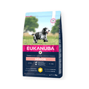 Eukanuba Caring Medium Senior Dry Food Chicken on white background
