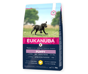 Eukanuba Growing Large Puppy Dry Dog Food Fresh Chicken on white background