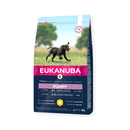 Eukanuba Growing Large Puppy Dry Dog Food Fresh Chicken on white background
