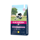 Eukanuba Growing Medium Puppy Dry Dog Food Fresh Chicken on white background