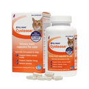 White background with a picture of an orange and white box of 300 capsule Feliway Cystease with a ginger tabby cat pictured. Text on the packet 'Feliway Cystease, Urinary tract supplement for cats, Specially formulated to help: Support feline urinary health, Support bladder lining, Reduce anxiety.' Next to the box is a bottle of the product with the same details as the box. In the foreground is a pile of the capsules. 