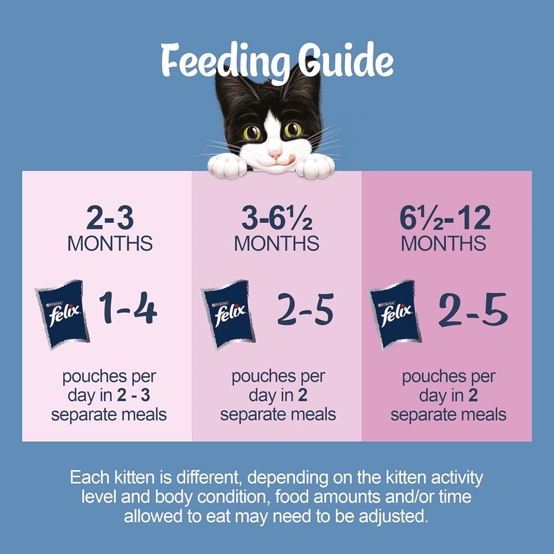 Felix Kitten Multi Pack's feeding guide for owners to correctly feed their kitten responsibly broken down in to age ranges