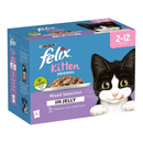 Felix Kitten Blue and Purple Cat Food Box