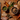 A styled flat-lay of a Forthglade chicken wet dog food ingredient blend on a rustic wooden table, featuring cubed brown meat pieces in a bowl, rice in a bowl, a raw chicken leg, carrots, peas, and other ingredients with text overlays reading 'brown rice', 'wholesome veg' and '75% single source chicken'.