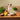 A box of Forthglade adult grain-free turkey dog food, pictured on a table with various vegetables and a bottle of oil. Looking over the table is a Jack Russell terrier.
