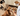 Two dogs, one black and white and one reddish-brown, are shown in a kitchen setting while a person holds white bowls filled with Forthglade wet dog food cut into cubes. The scene is brightly lit and focuses on pet nutrition.