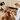 Two dogs, one black and white and one reddish-brown, are shown in a kitchen setting while a person holds white bowls filled with Forthglade wet dog food cut into cubes. The scene is brightly lit and focuses on pet nutrition.