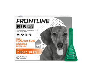 Frontline Plus spot-on for small dogs treatment packaging with a green pipette applicator shown beside the box on a white background.