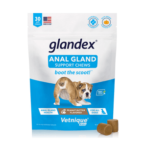 White background with a blue and white packet of Glandex Anal Gland Support Chews. On the pack is a picture of a bull dog with it bottom pointed forwards. Additional text states 'Boot the scoot!' and 'Anal gland health, Peanut Butter Flavoured, for all dogs.' 
