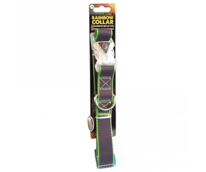 White background with a Rainbow reflective dog collar attached to a cardboard backing which states 'Large Go Walk Rainbow Collar'. 