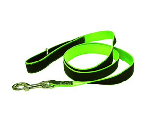 White background with a Rainbow reflective dog collar with a green trim pictured.