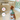 Brown and white spaniel type dog wearing a green Halti Anatomy Harness with a metal clips and loops, sat in a kitchen, with features of the harness listed. 