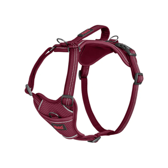White background with a Magenta Halti Anatomy Harness with a metal clips and loops. 