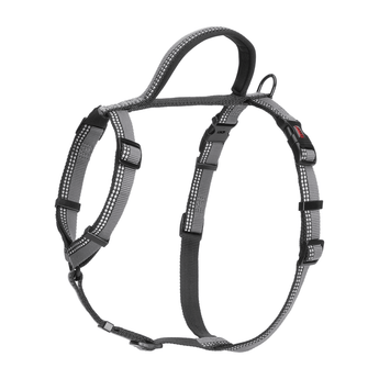 White background with a black and grey Halti Walking Harness with a metal clips and loops.