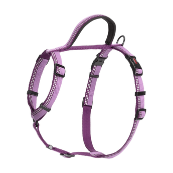 White background with a purple Halti Walking Harness with a metal clips and loops.
