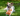 A brown and white collie cross dog laying on a grass with an orange-shaped Happy Pet Very Hungry Caterpillar tugger dog toy.