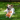 A brown and white collie cross dog laying on a grass with an orange-shaped Happy Pet Very Hungry Caterpillar tugger dog toy.