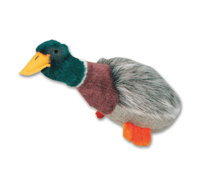 White background with a Hemmo and Co. Mallard duck plush dog toy. 