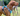 Brown Vizsla dog wearing a grey and blue Henry Wag Dog Travel Harness.