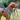Brown Vizsla dog wearing a grey and blue Henry Wag Dog Travel Harness.
