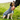 Cocker spaniel dog wearing a grey Henry Wag Drying Coat, while being patted by a person out of shot. 