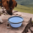 Jack russell terrier drinking from a  blue Henry Wag dog travel bowls, pictured in an outdoor scene. 